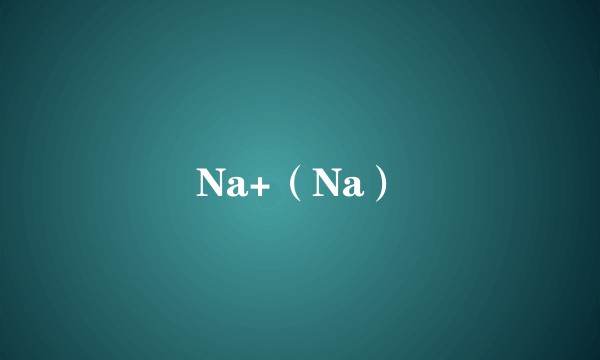 Na+（Na）
