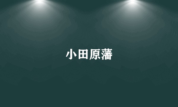 小田原藩