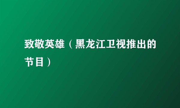 致敬英雄（黑龙江卫视推出的节目）