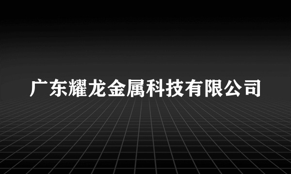 广东耀龙金属科技有限公司