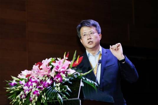 邓侃（北京大数医达科技有限公司创始人）