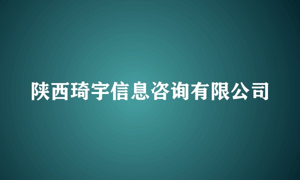 陕西琦宇信息咨询有限公司