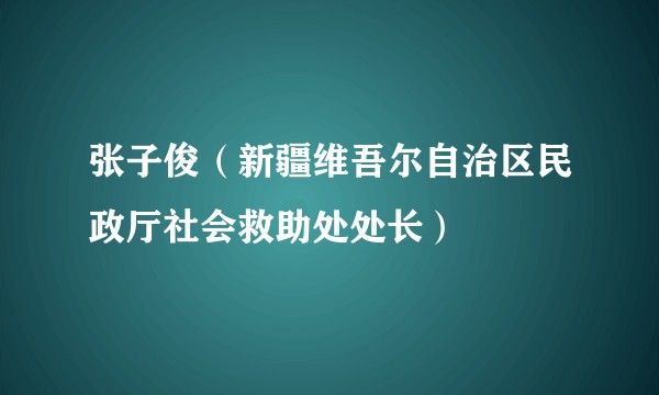 张子俊（新疆维吾尔自治区民政厅社会救助处处长）