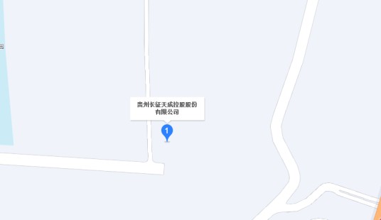 贵州长征天成控股股份有限公司