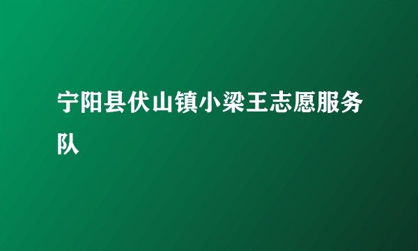 宁阳县伏山镇小梁王志愿服务队