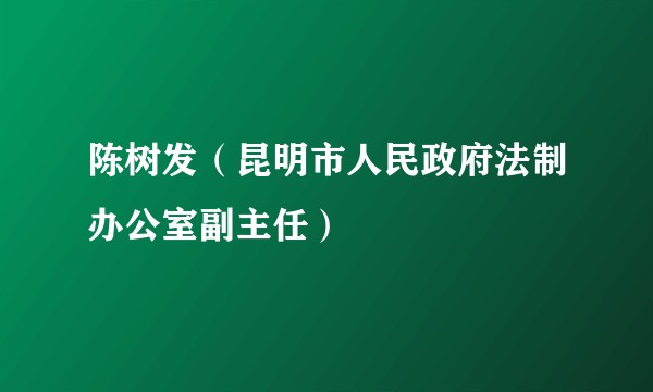 陈树发（昆明市人民政府法制办公室副主任）