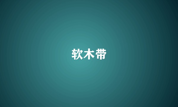 软木带