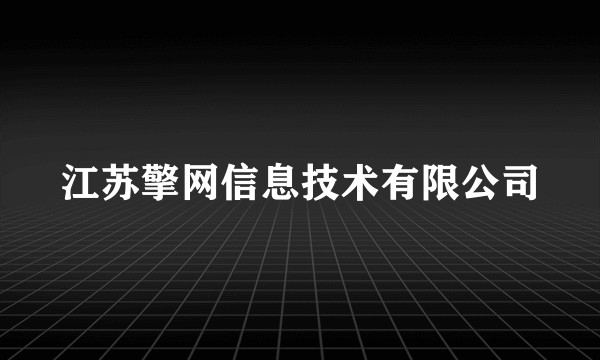 江苏擎网信息技术有限公司