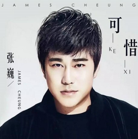 可惜（张巍原唱歌曲）