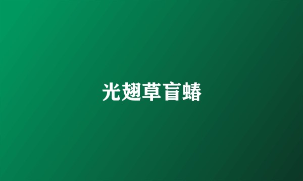 光翅草盲蝽
