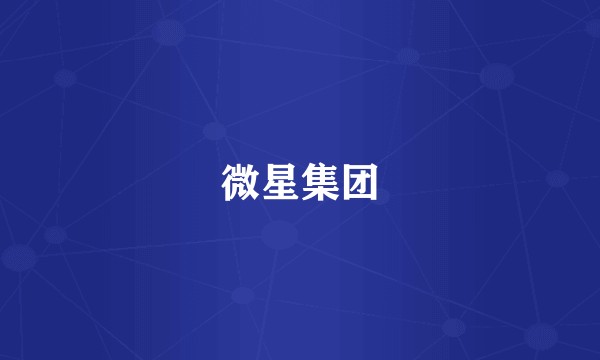 微星集团