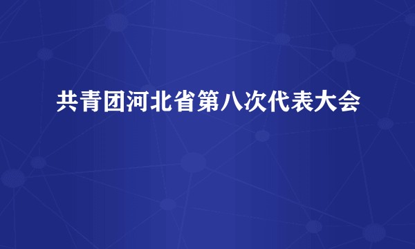 共青团河北省第八次代表大会