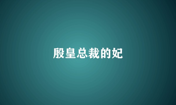 殷皇总裁的妃