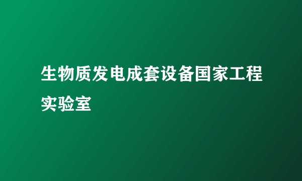 生物质发电成套设备国家工程实验室