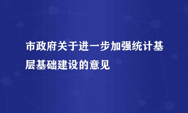 市政府关于进一步加强统计基层基础建设的意见