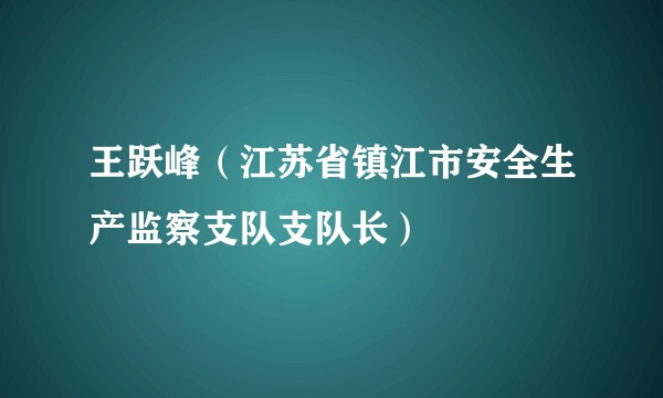 王跃峰（江苏省镇江市安全生产监察支队支队长）
