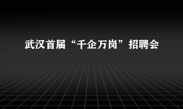 武汉首届“千企万岗”招聘会