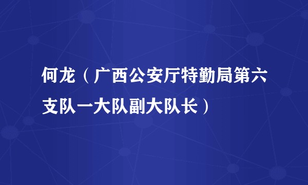 何龙（广西公安厅特勤局第六支队一大队副大队长）