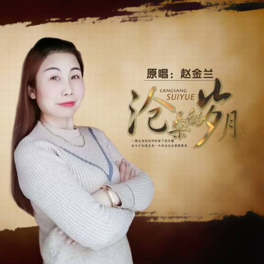 沧桑的岁月（赵金兰演唱的歌曲）