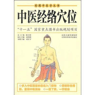 中医经络穴位