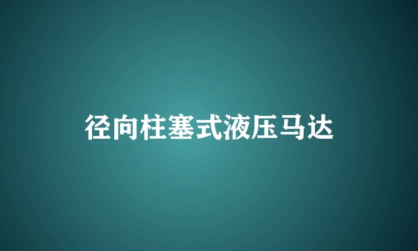 径向柱塞式液压马达