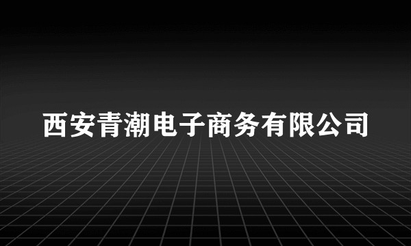 西安青潮电子商务有限公司