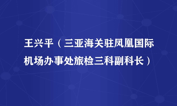 王兴平(三亚海关驻凤凰国际机场办事处旅检三科副科长)