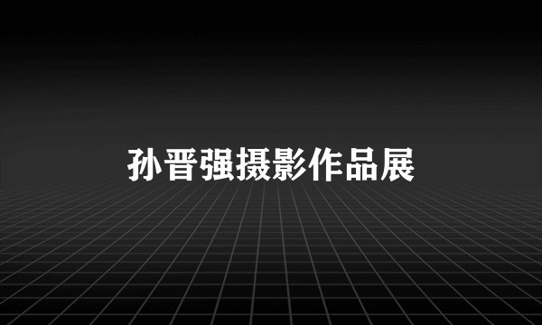 孙晋强摄影作品展