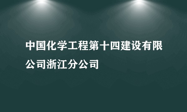 中国化学工程第十四建设有限公司浙江分公司