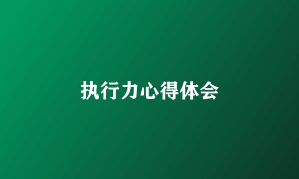 执行力心得体会