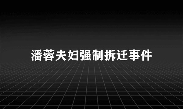 潘蓉夫妇强制拆迁事件