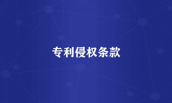 专利侵权条款