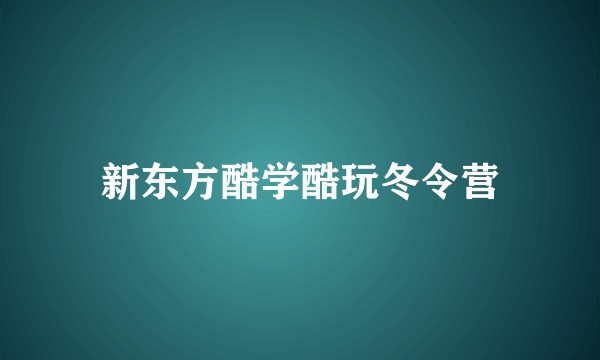 新东方酷学酷玩冬令营