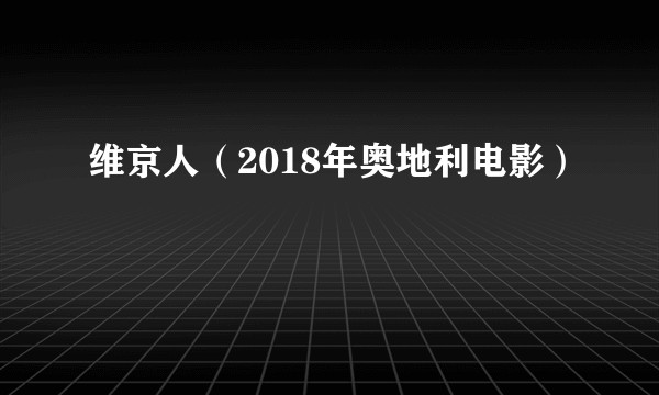 维京人（2018年奥地利电影）