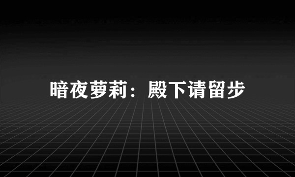 暗夜萝莉：殿下请留步