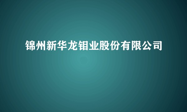锦州新华龙钼业股份有限公司