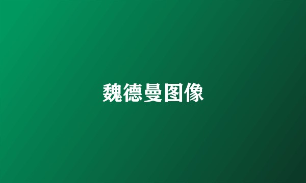魏德曼图像