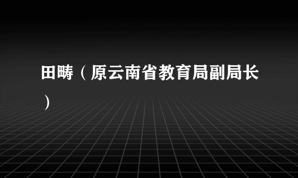 田畴（原云南省教育局副局长）