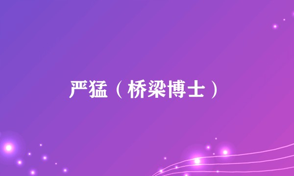 严猛（桥梁博士）