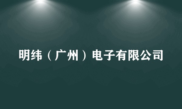 明纬（广州）电子有限公司