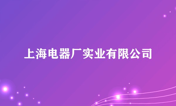 上海电器厂实业有限公司