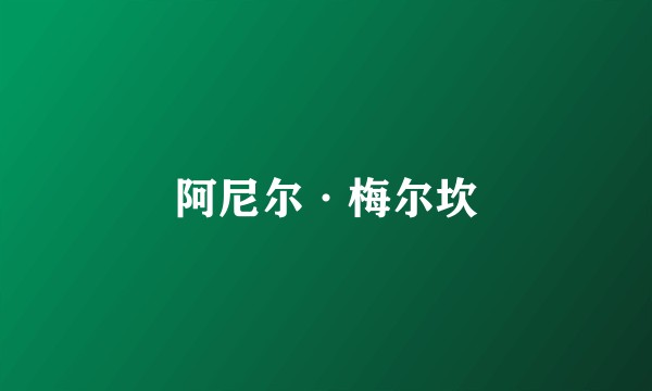 阿尼尔·梅尔坎