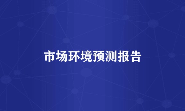 市场环境预测报告