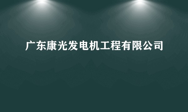 广东康光发电机工程有限公司