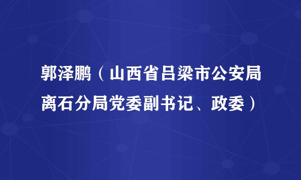郭泽鹏（山西省吕梁市公安局离石分局党委副书记、政委）