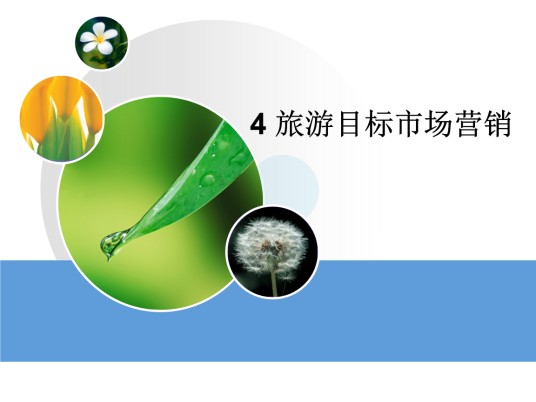 旅游市场营销（2013年清华大学出版社出版的图书）