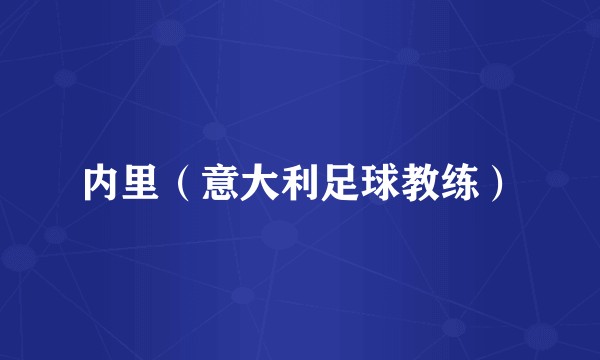 内里（意大利足球教练）