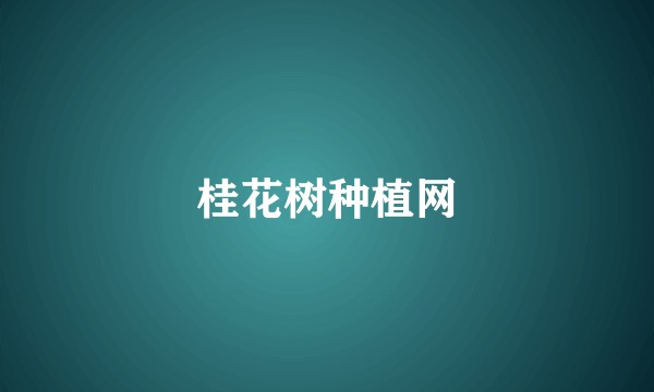 桂花树种植网