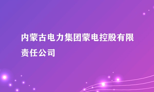 内蒙古电力集团蒙电控股有限责任公司