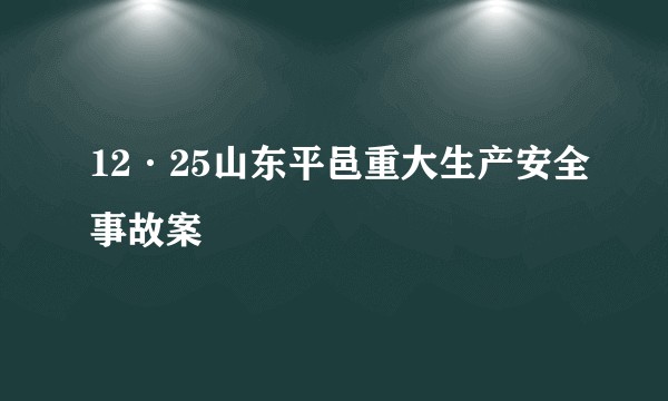 12·25山东平邑重大生产安全事故案